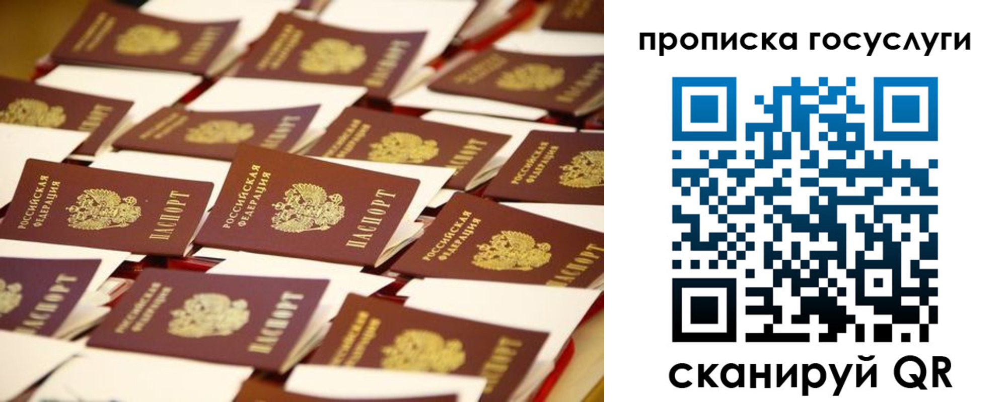 прописка гарантия в Клине